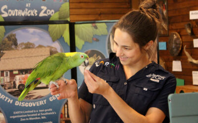 Virtual ZooMobile Programs