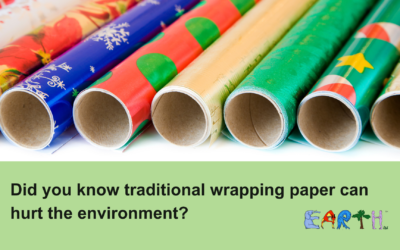Wrap Merry, Wrap Green: How Sustainable Gift Wrapping Makes a Big Difference for the Planet