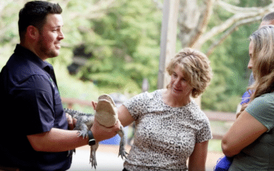 The Health Benefits of Zoo Animal Interactions