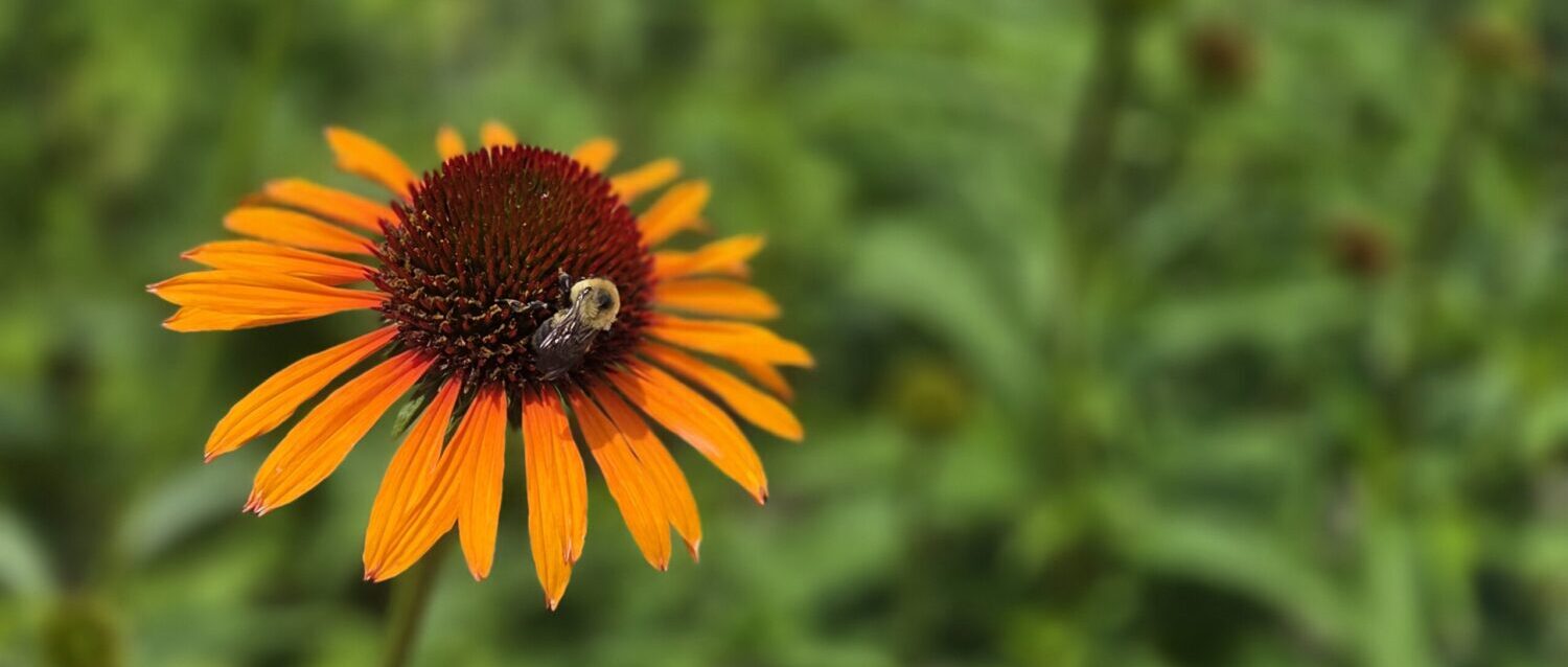 5042